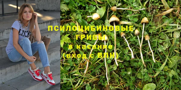не бодяженный Няндома