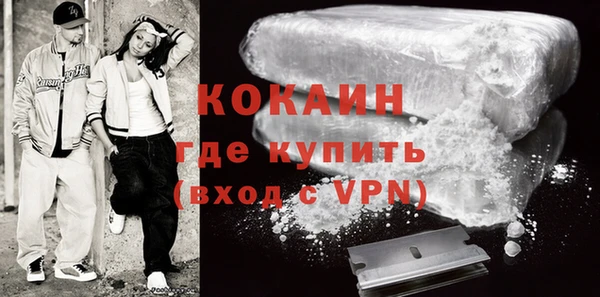 индика Новокубанск