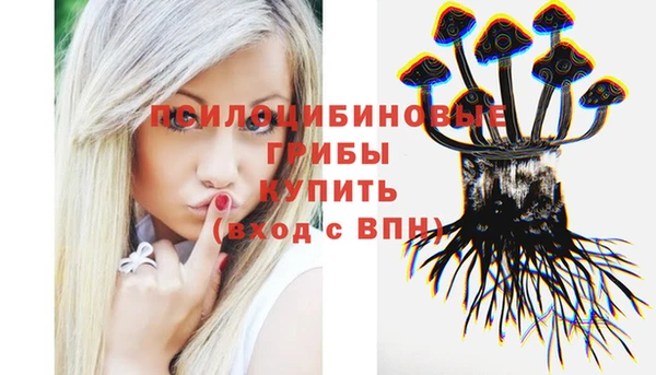 не бодяженный Няндома