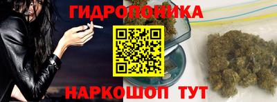 стафф Бийск