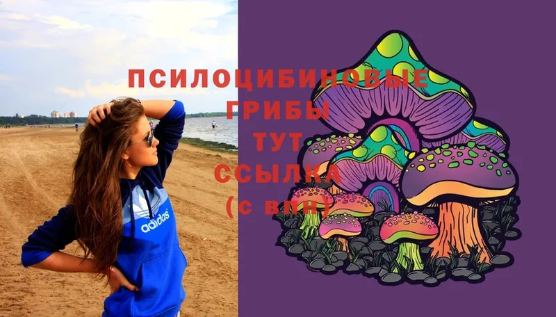 Псилоцибиновые грибы Magic Shrooms  Качканар 