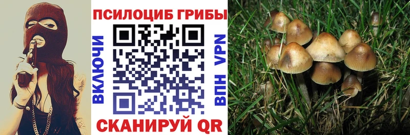 Псилоцибиновые грибы мицелий  Качканар 