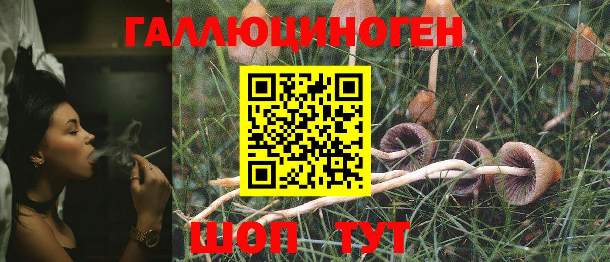 Псилоцибиновые грибы GOLDEN TEACHER  Вход с VPN  Качканар 